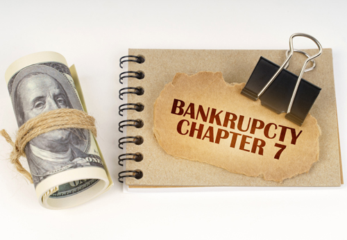 Bankruptcy Lawyer Boone County Illinois